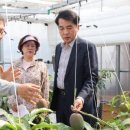 김영이 농장 이미지