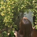 북부순환13번길 이미지