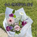 플라워스튜디오코티지