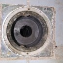 동성백두 이미지