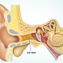 닥터사운드 이미지