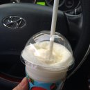 꽃섬해물 이미지