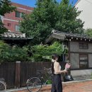카페 여름 | 대구 카페 * 오가닉모가, 여름에 다녀온 김광석거리 카페 내돈내산 후기