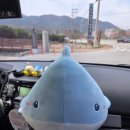 찬스게임장 이미지