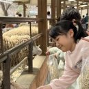 덕정목장 이미지