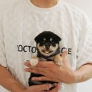 루이몽 이미지
