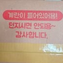 홍천자연랜드 이미지