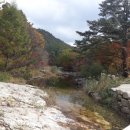 정선다온펜션 이미지