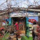 카페봄내 이미지