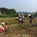 고령가구 이미지