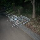 서삼릉길 이미지