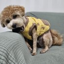 포유동물병원 이미지