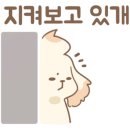 로몽마켓 이미지