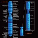 Y 염색체 1000만년 뒤 사라질까? 이미지