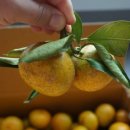 지승농장 이미지