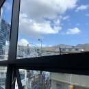 레벨스피자 이미지