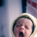 연천약국 이미지