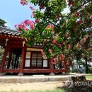 송강정 이미지