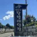 31 | 울산 울주군 캠핑장 작천정 달빛야영장 31번 사이트 후기