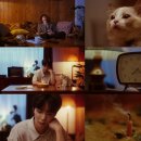 JR 카카오 검색결과