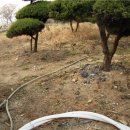 현정농장 이미지