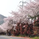 봉수경로당 이미지