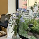 까트르쎄종 이미지