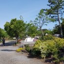 제주돌하르방캠핑장 이미지