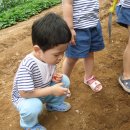 도림농장 이미지