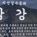 충효사 Daum카페