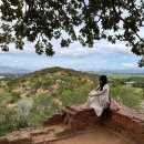 원주동물약국 | 나트랑 판랑 사막투어 후기 산티아고투어 스냅촬영 일정 내돈내산 젤 잘한 선택 강추!!+제이스파,세일링...