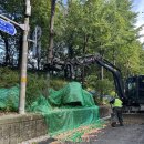 은행나무 경로당 이미지