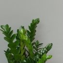 에이원 당구클럽 이미지