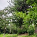 서하체육공원 이미지