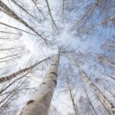 인제목장 이미지