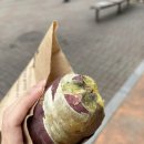 일산 라페스타 카페 청자다방 군고구마 후기