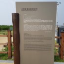 영덕고래불국민야영장 이미지