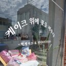 블라썸온케이크