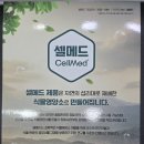 참자연약국 네이버블로그