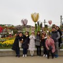 세무법인위더스서