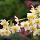 맑은우리피부과의원 이미지