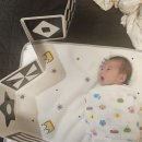 꼬마손 | 꼬마손 병풍 초점책 시기 흑백 컬러 신생아 초점책추천 내돈내산 후기