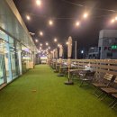 애견랜드 | 부산 연제구 애견카페 왈왈랜드 내돈내산 후기