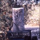 가버나움 이미지