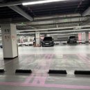 호텔강남스타일 | 나도 돌준맘 시작, 롯데시티호텔 예약후기