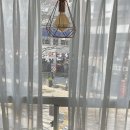 프루츠락 이미지