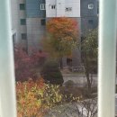 11545-11-99-23 | 11월 23일까지. 놀기 신청 하러 온 거야?