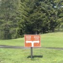 [홋카이도 골프여행]루스츠 리조트 GOLF72 완벽 정복...우드 코스 비교부터 웨스틴 대게뷔페 숙박 후기까지