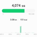 [임신일기] 26~27주차 임당검사, 입체초음파 및 재검 후기