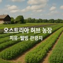 세계로관광농원 Daum카페